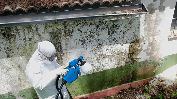 Top rated local Crawl Space Mold Removal specialists in Sharon, TN